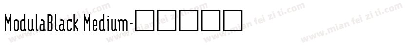 ModulaBlack Medium字体转换